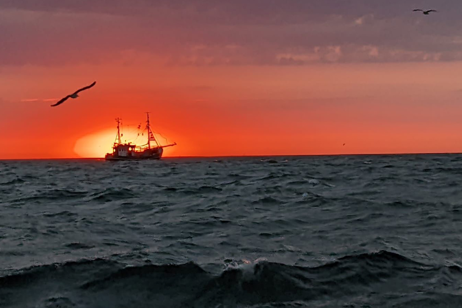 Seebestattungen auf der Nordsee, ein würdevoller Abschied
